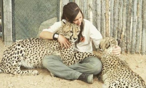 Vahşi hayvanları koruma görevlisi Lisa ile çitalar arasındaki dostluk