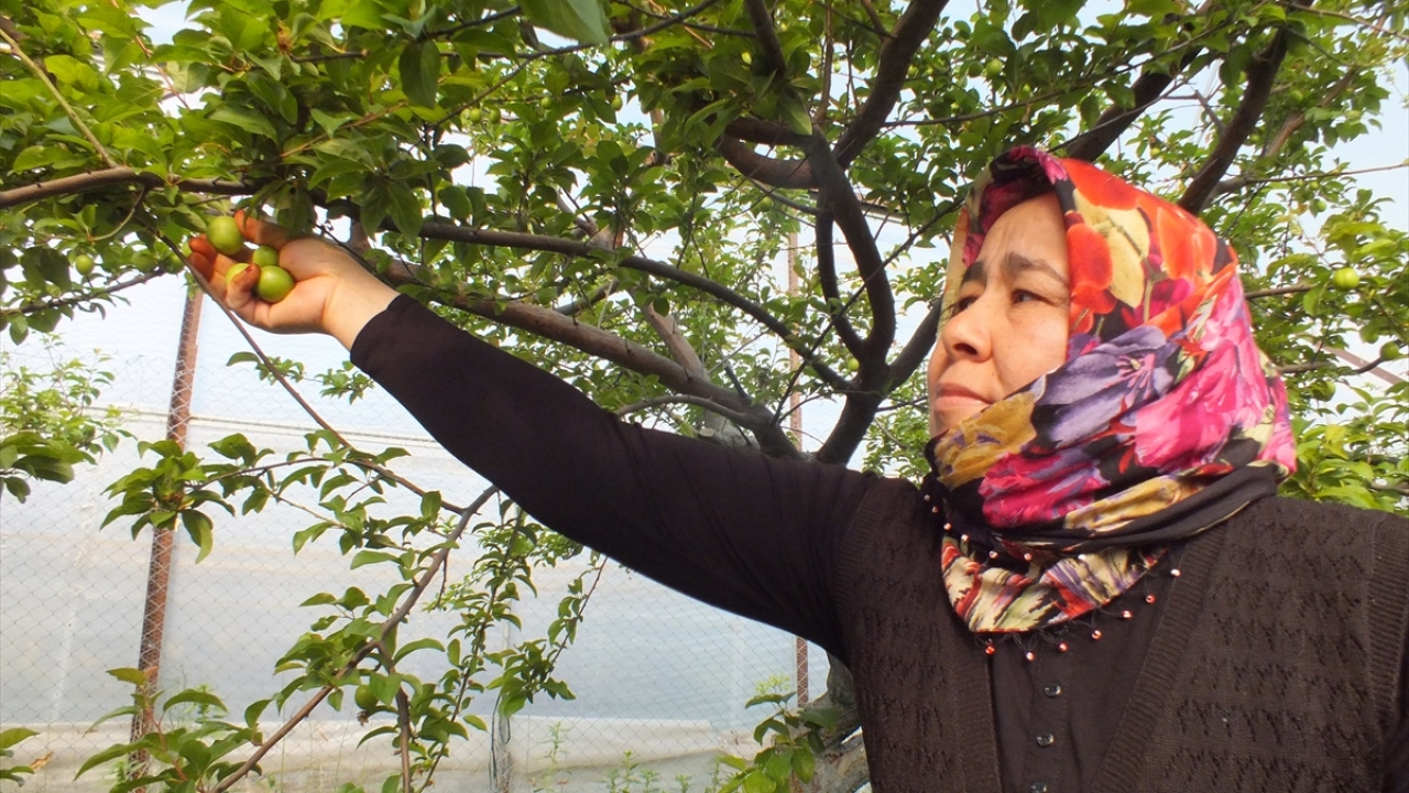 "İnşallah emeklerimizin karşılığını alırız."