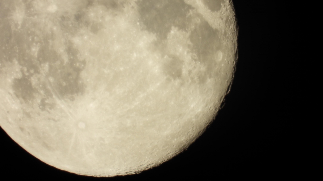 Ortaya birbirinden muhteşem manzaralar çıktı. 