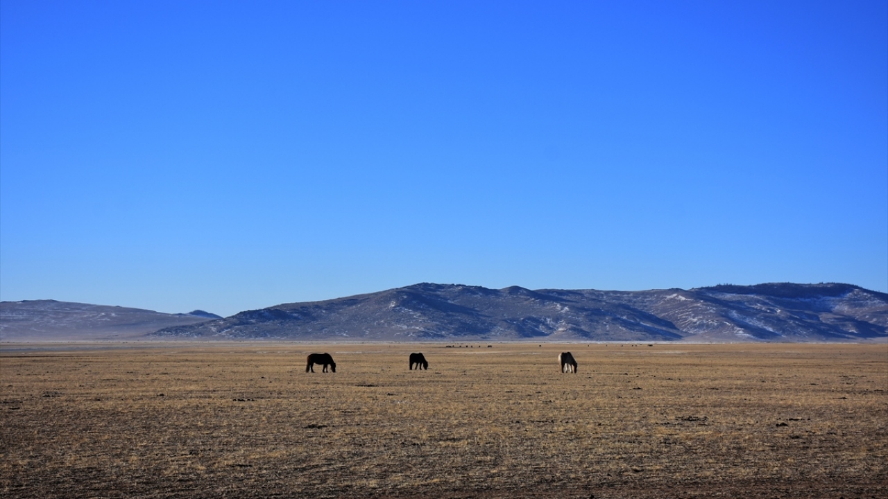 Uçaklar, arazi araçları, atlar ya da yürüyerek dünyanın en ücra bölgelerinden birinde yaşayan Dukha (Duha) Türklerine zorlu bir yolculuktan sonra ulaşılıyor.