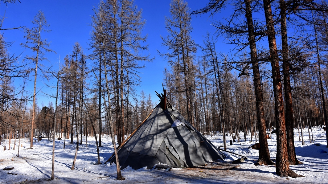 Taygaya ulaşım çok zor