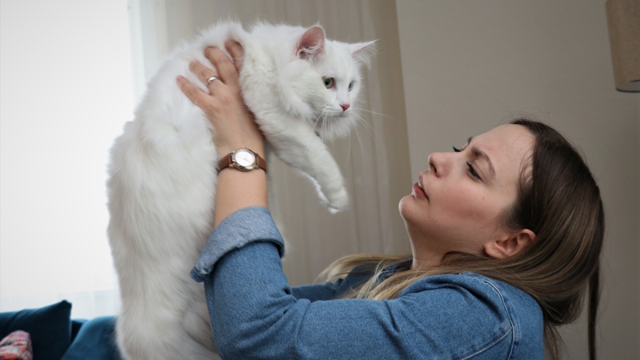 "Güzelliği tescillendi"