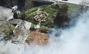 Kurbanlıkların sahibinin koyunları yangından kurtarma anı kamerada