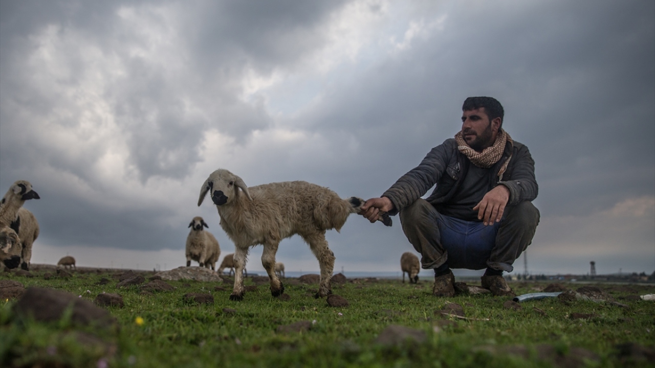 "Pazarda yoğunluk yaşanıyor."
