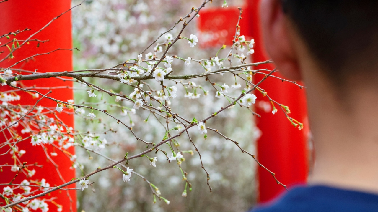 Kaynak: AFP, Reuters