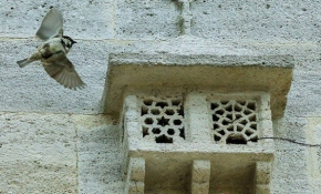 Türk mimarisinin zarif detayı "kuş evleri"