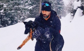 Donmak üzere olan köpeği, kilometrelerce kucağında taşıdı