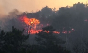 Çin'de yangın söndürme çalışmalarına katılan 30 itfaiyeci öldü