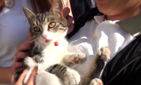 Okulun maskotu "Mırmır" teneffüslerde kucaktan inmiyor