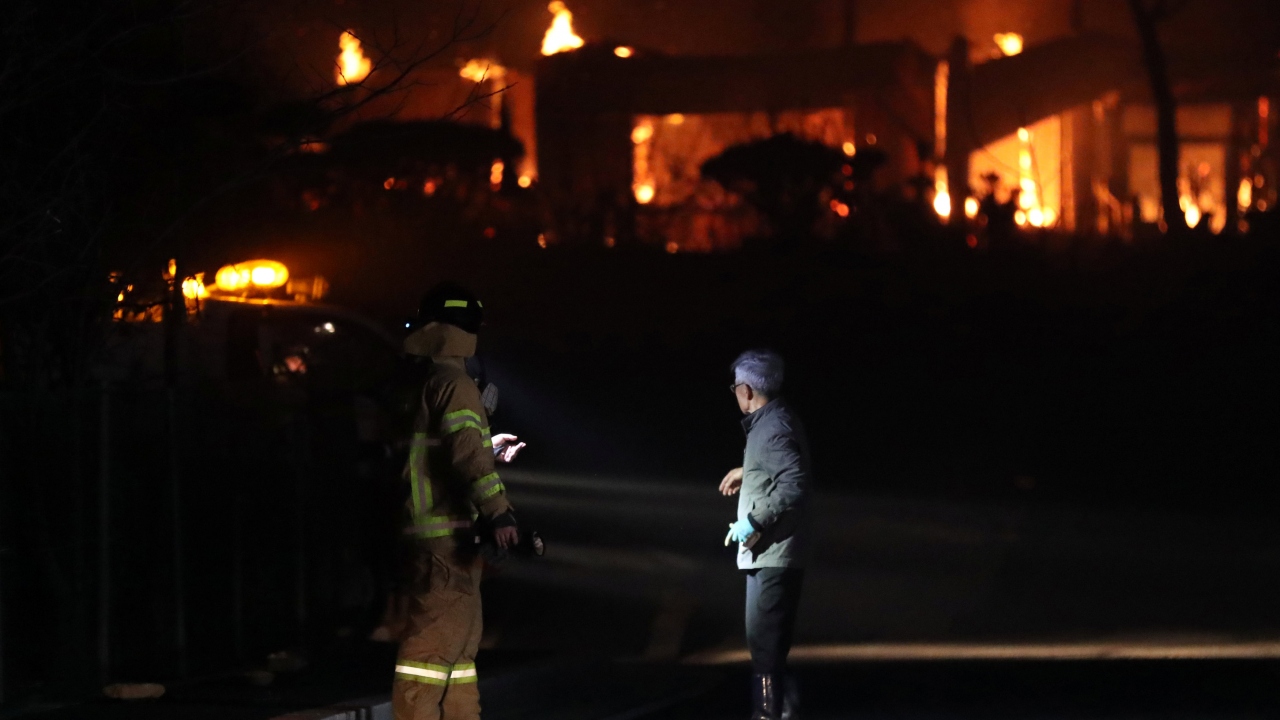Şiddetli rüzgarın da etkisiyle kısa sürede yayılan alevler 250 hektarlık ormanı kül etti.