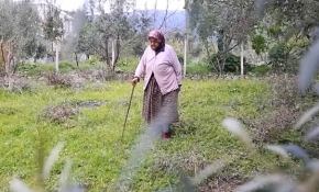 Milas'ın en yaşlı çiftçisi Hanife nine