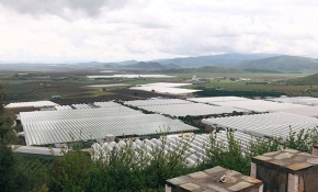 Akıllı seralar hem üreticinin hem tüketicinin yüzünü güldürecek