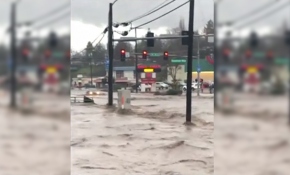 Washington sokakları su baskınları nedeniyle nehre dönüştü