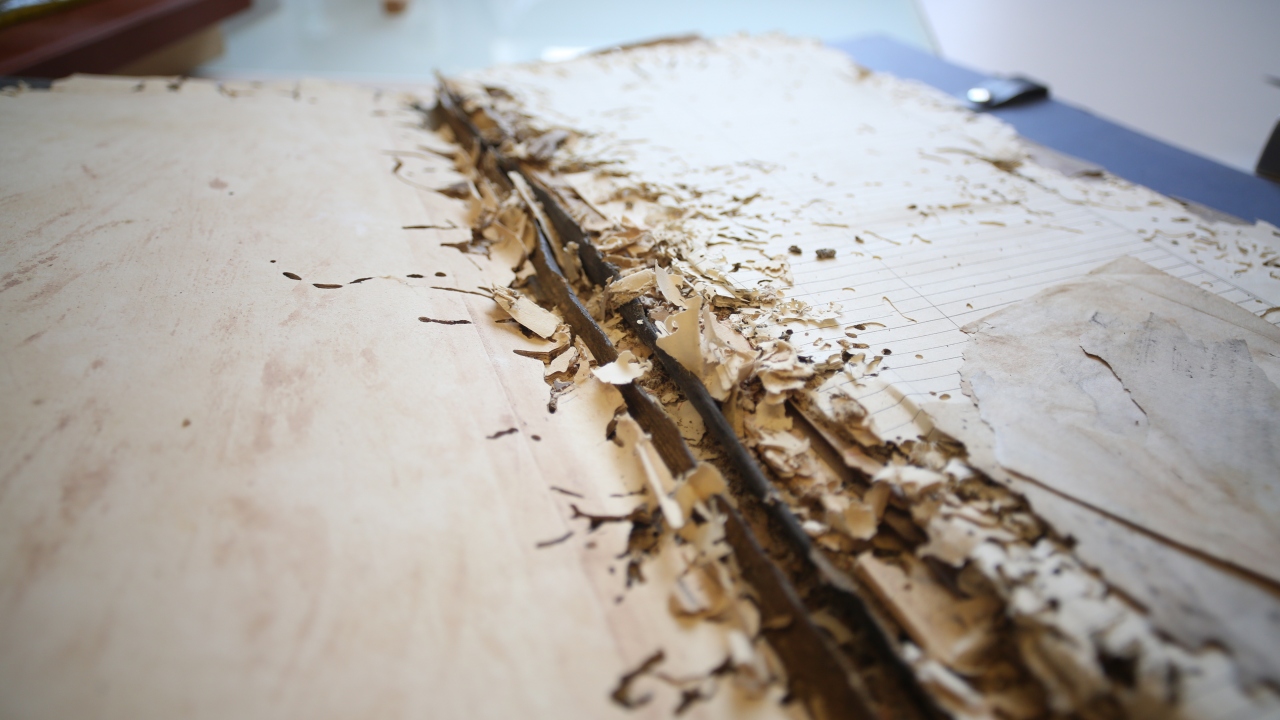 Osmanlı Arşivi’nde yer alan belgelerin geçmişi, 1100’lü yıllara dek uzanıyor. 