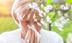 Bahar alerjisine yeni önlem: Polen haritası