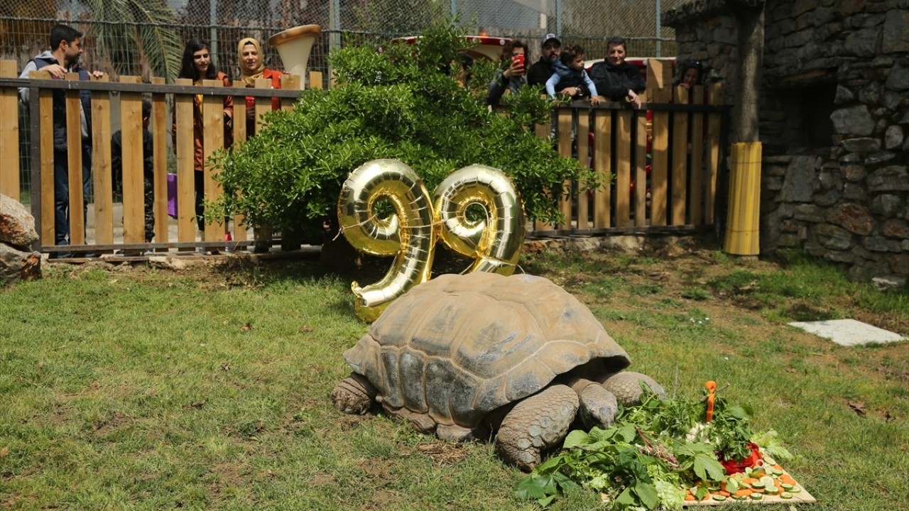 Faruk Yalçın Hayvanat Bahçesi ve Botanik Parkı`nda, koruma altında bulunan 250 hayvan türünden 62`sinin nesli tehlikede.
