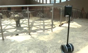 Robot "Leos" hasta çocuklara sevimli dostlarını ziyaret imkanı sağlıyor