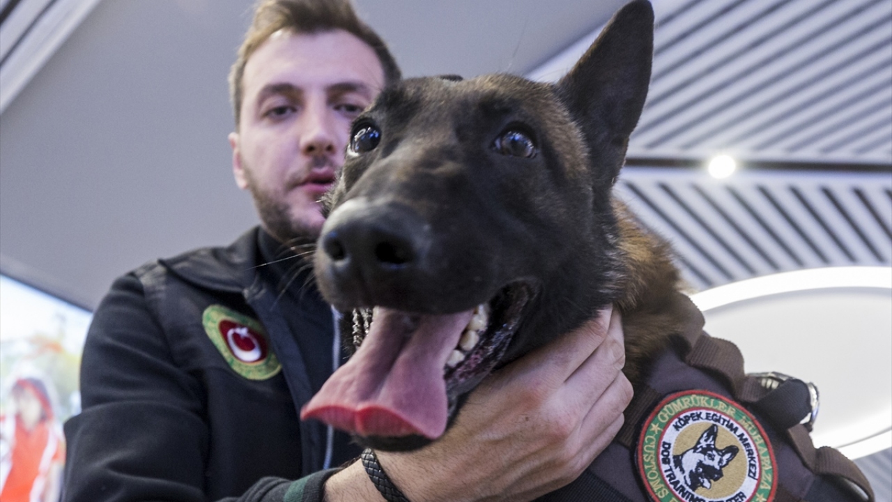 "Henüz 4 ay olmasına rağmen çok bağlandım"