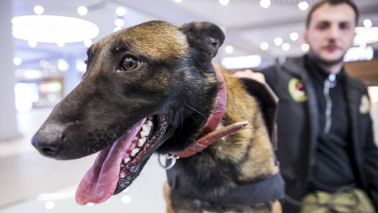 "25 bin TL ve 10 bin avro üstü paranın beyan edilmesi gerekiyor"