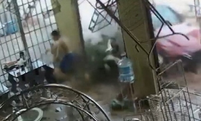 Vietnam'da üzerine gelen aracı son anda fark eden kişiyi refleksi kurtardı