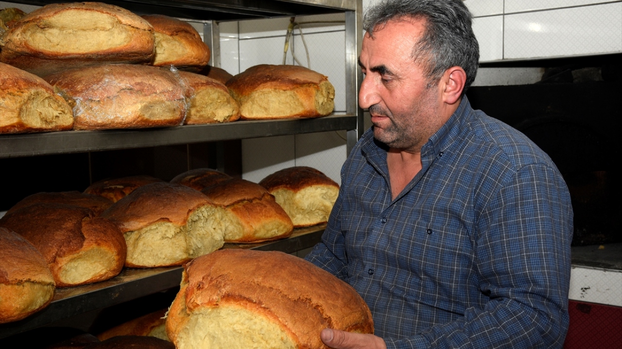 Kargo ve otobüslerle gurbete gönderiliyor