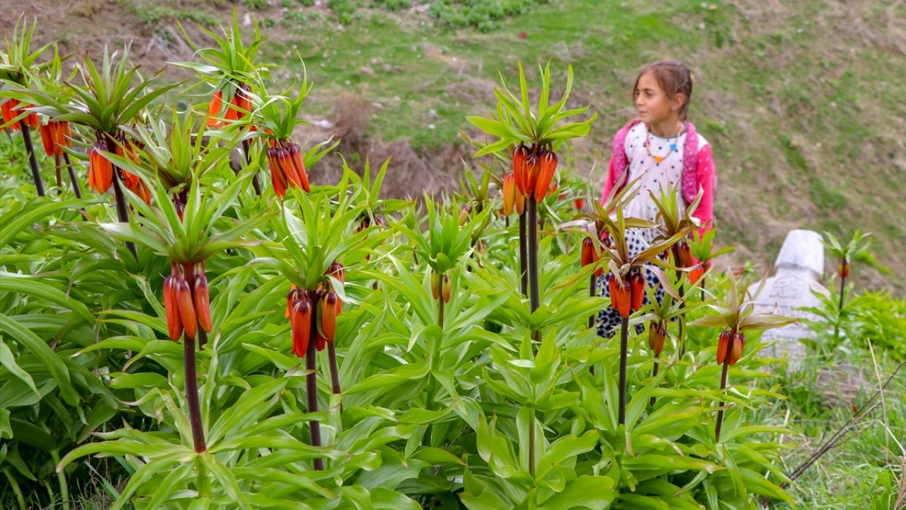 "Buradaki güzellikleri görmeden ayrılmak eksik kalır."
