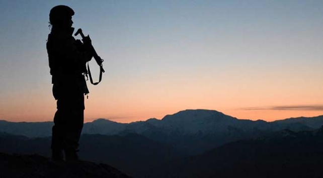 Amanos Dağları kırsalında 5 terörist etkisiz hale getirildi