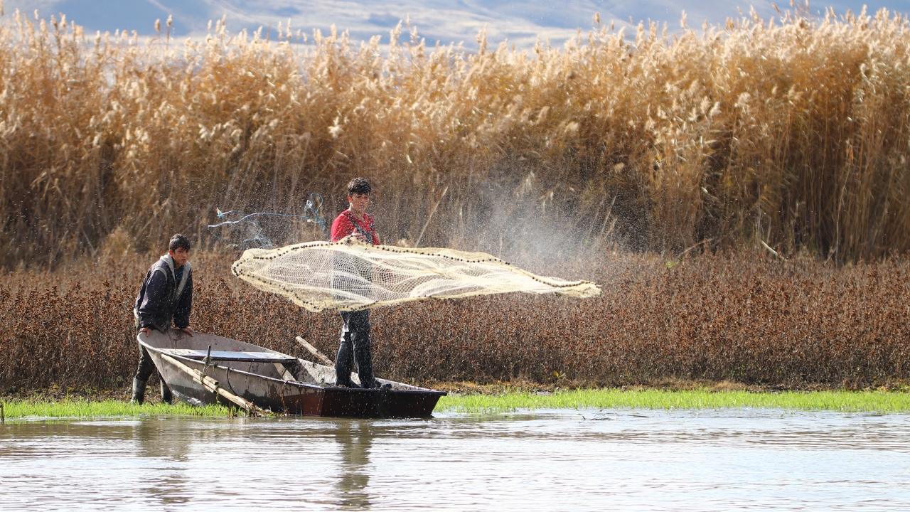 Bendimahi Çayı`na ağ atan balıkçılar, en çok yaba ve serpme yöntemini kullanıyor.