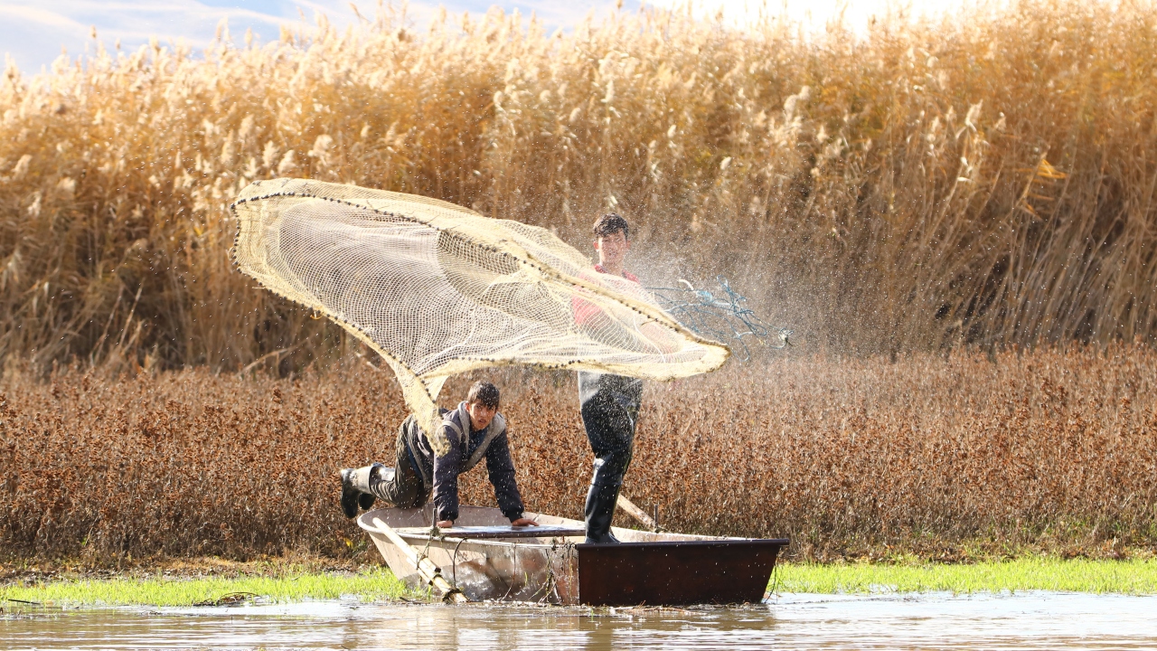 İnci kefalinde av yasağı 15 Nisan`da başladı. Balıkçılar, inci kefalinin üreme döneminde avlayamayacak.