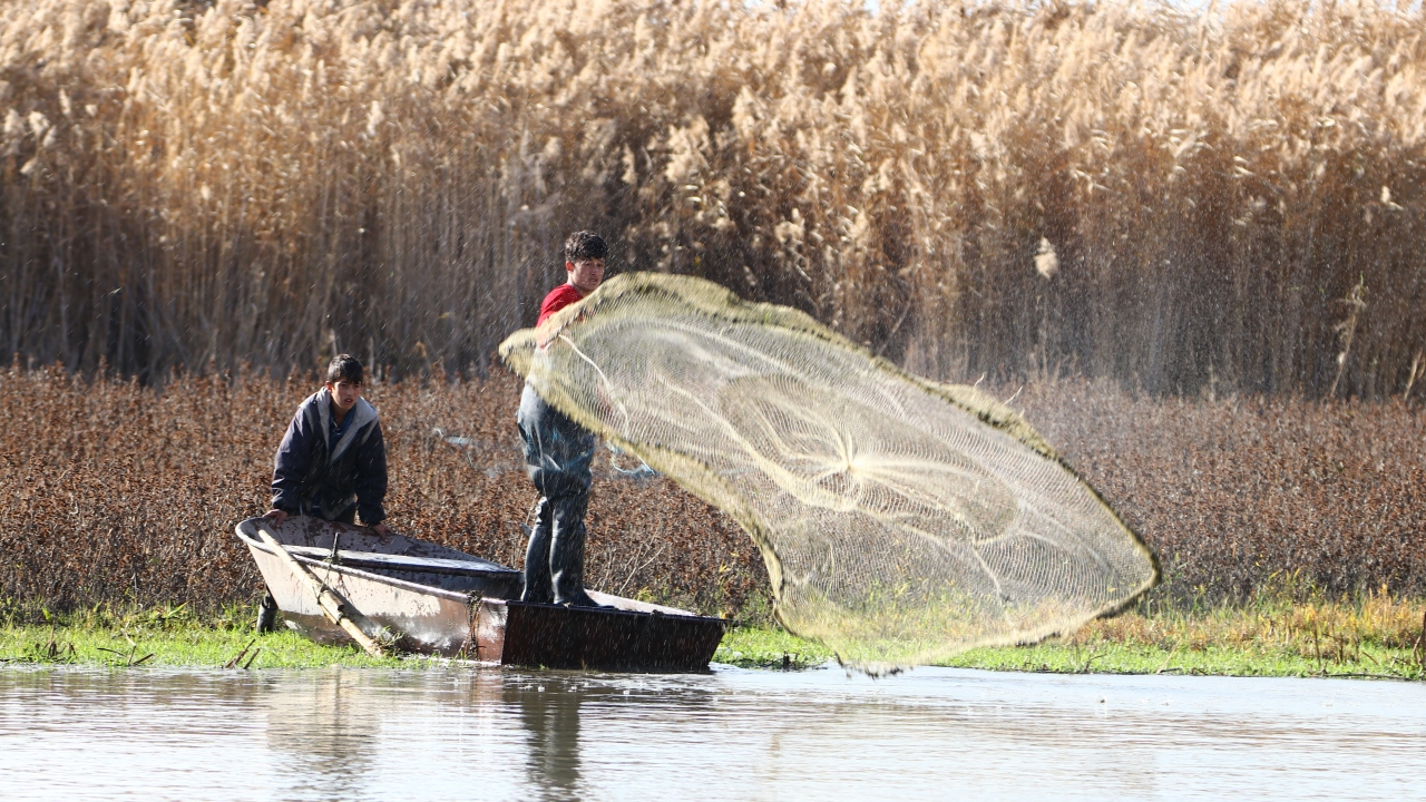 Van`da balıkçılık yapan vatandaşlar, inci kefali ve aynalı sazan avlayıp evlerini geçindiriyor.