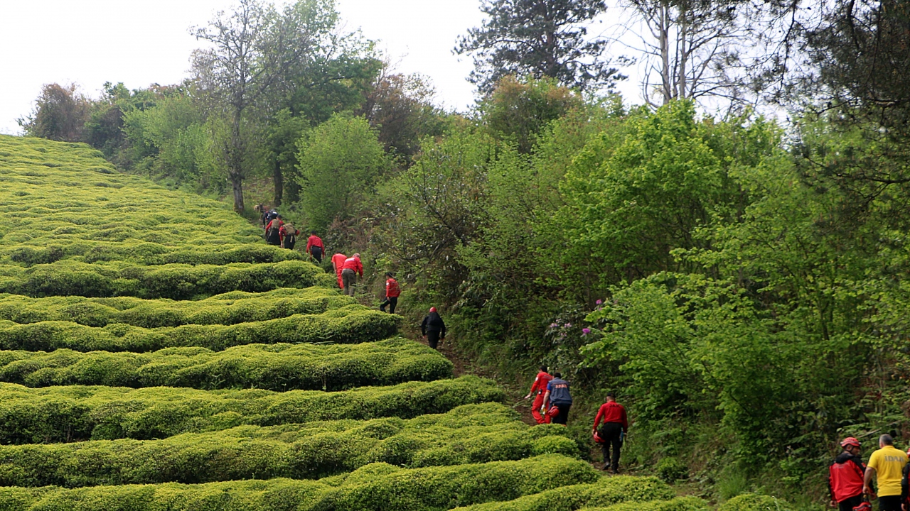 Alınan bilgiye göre, ilçenin Merkez Mahallesi`nde, sokakta oynarken kaybolan Selim Yağız Özkan (4) ile Barış Yıldırım`ın (5) gece boyunca sürdürülen çalışmalara, arama kurtarma köpeği "Kır" ile iz sürme köpeği "Oyma" da katıldı.