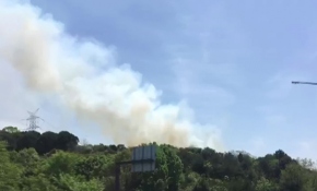 İstanbul Kavacık’ta orman yangını