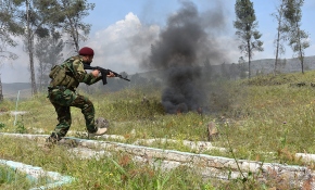 Özgür Suriye Ordusu, Maaranaz ve Malikiyye köyünü YPG/PKK'dan temizledi