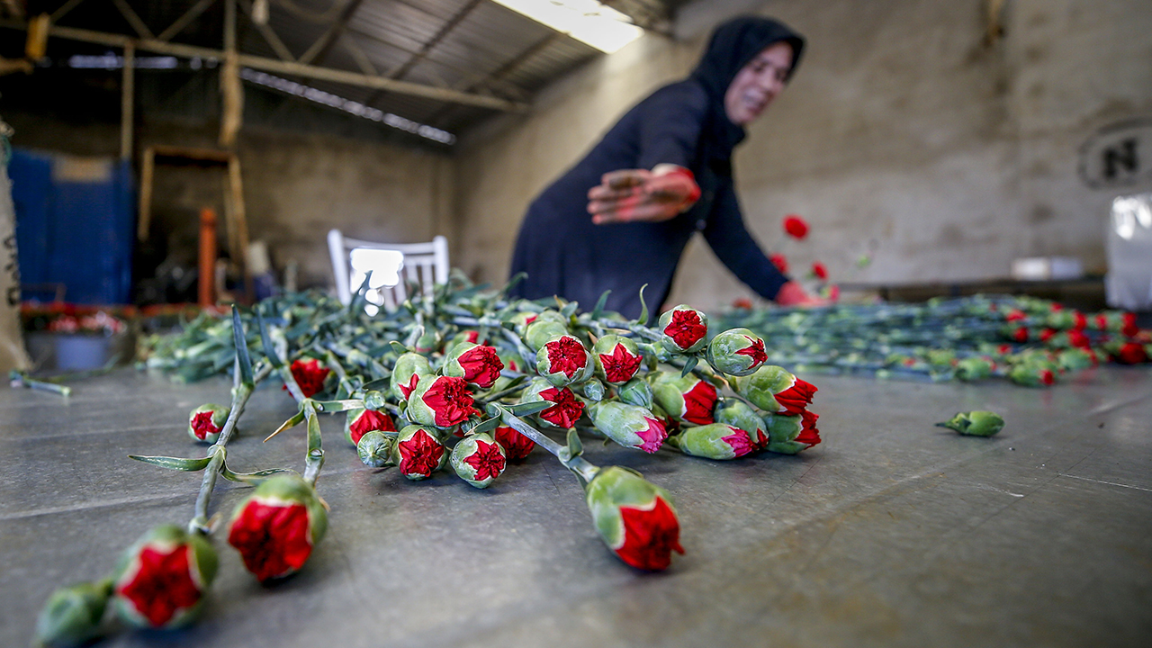 Orta Anadolu Süs Bitkileri ve Mamulleri İhracatçıları Birliği Yönetim Kurulu Üyesi ve Süs Bitkileri ve İhracatçıları Derneği Başkanı Harun Yeter, çiçek sektörünün Anneler Günü için hazırlıklarını tamamladığını söyledi. 