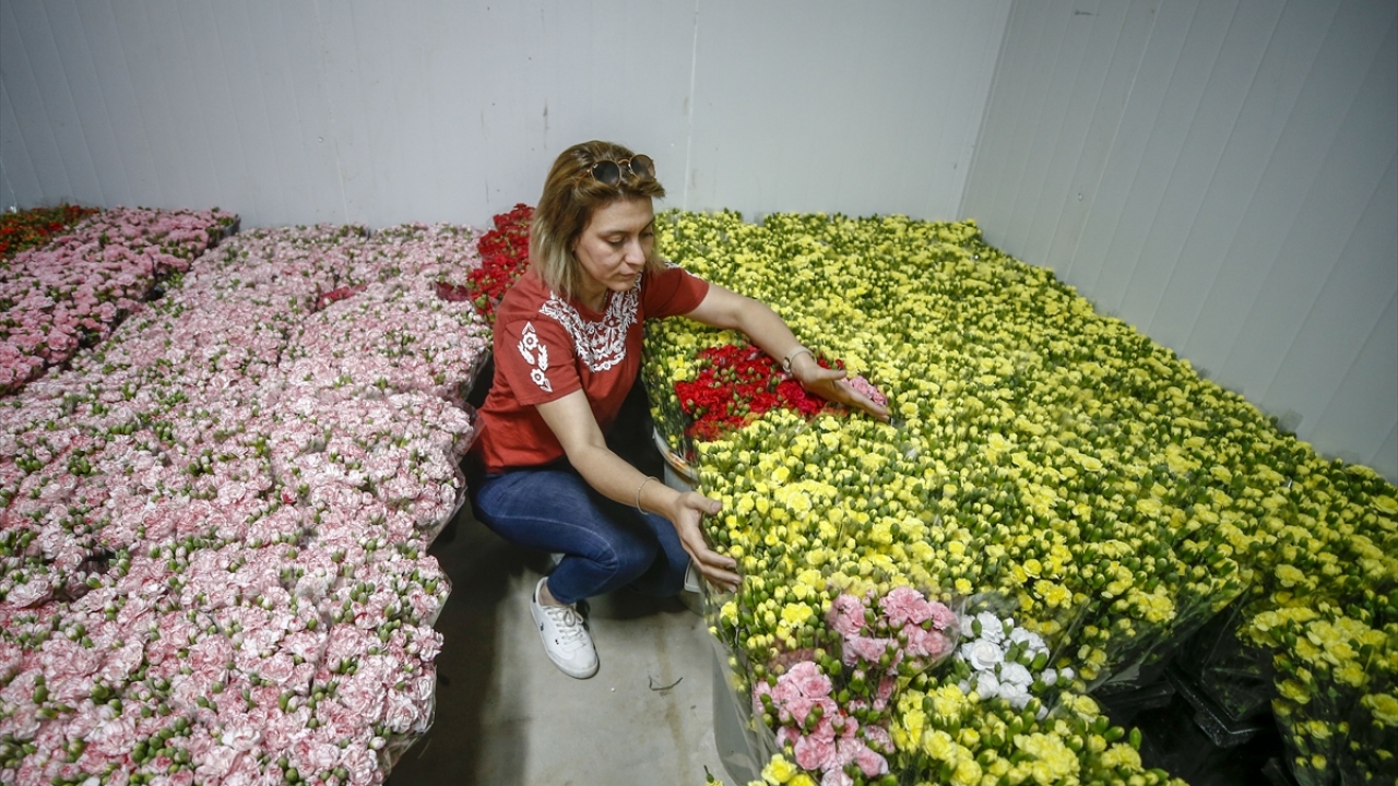 Yeter, yaklaşık 13 çeşitte çiçek üretimi yaptıklarını kaydetti. 