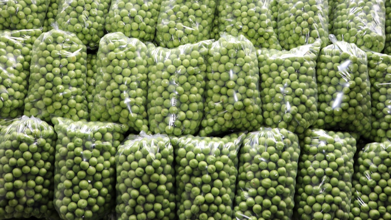 "Bizim eriğimiz oldukça kalitelidir."