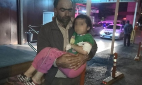 Esenyurt'ta 2 pitbull 6 yaşındaki kız çocuğunu yaraladı