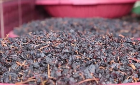 Irak'ta ramazan ayının vazgeçilmez içeceği "üzüm şerbeti"