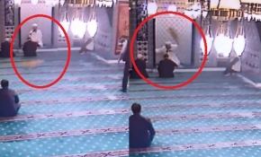 Camiye giren kedi cemaati seferber etti