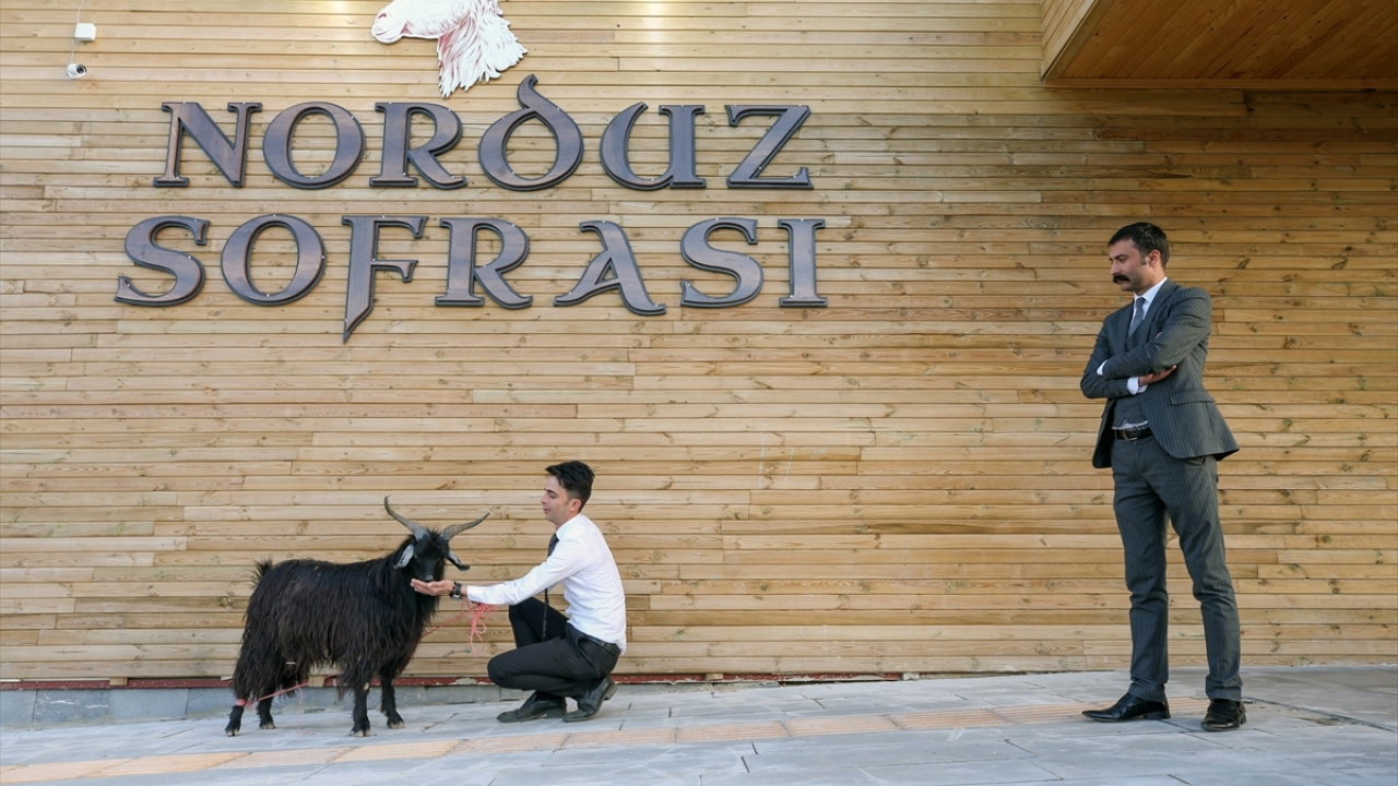 Sofranın geliri eğitime harcanıyor