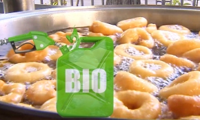 Tavadaki yağdan biyodizele