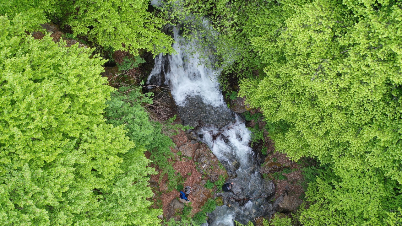 Kütahya`ya 95, Uşak`a 60 kilometre uzaklıktaki Gediz, sahip olduğu zenginliklerle özellikle kış mevsiminde doğa tutkunlarından ilgi görüyor.