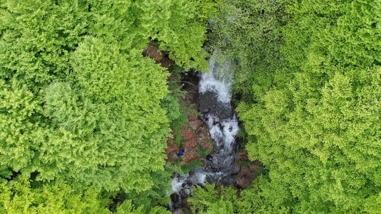 İlçe sınırları içinde kalan ve İç Batı Anadolu`nun en yüksek dağı olan 2 bin 312 metre rakımlı Murat Dağı, ilkbaharın sonuna yaklaşılan şu günlerde ayrı bir güzelliğe büründü.