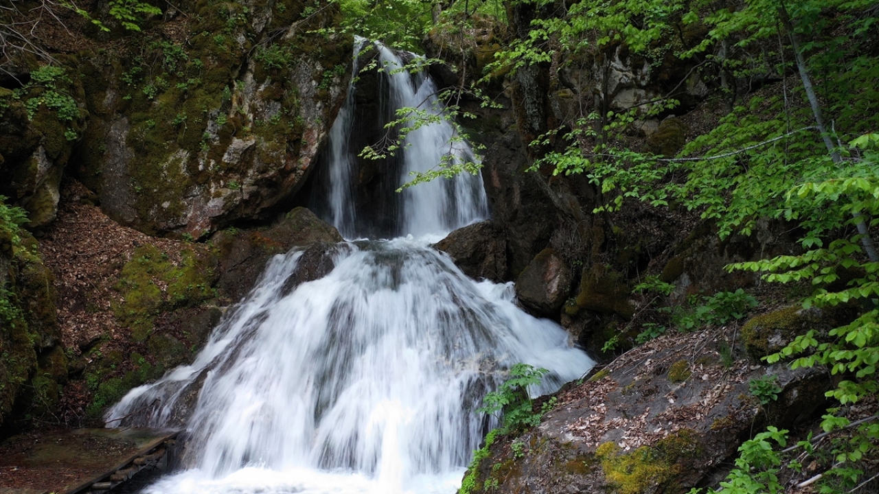 "Muhteşem zenginlikleri barındıran bir ilçe"