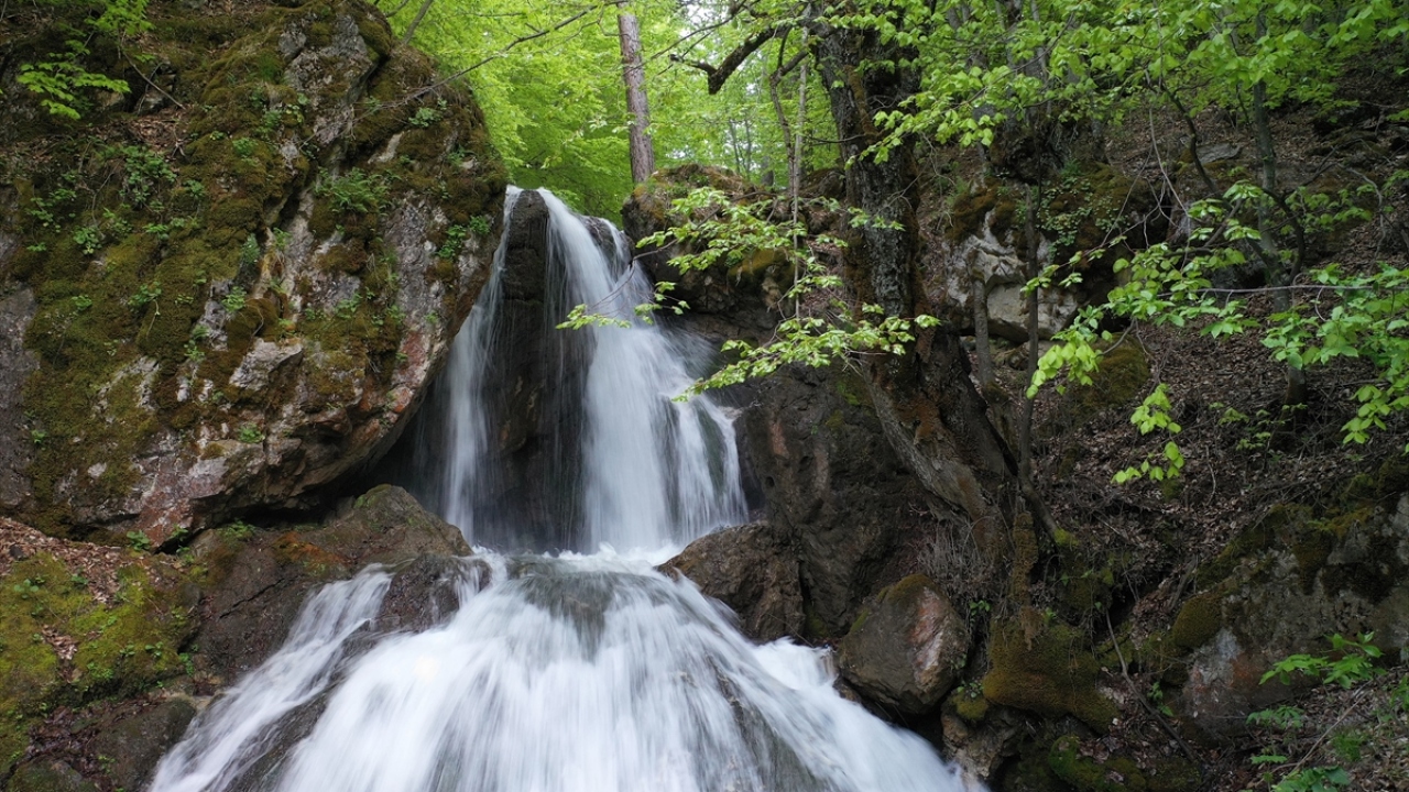 Doğaseverler ve doğa sporları için sıra dışı etkinlik ve tatiller bakımından Gediz`in çok ayrıcalıklı bir ilçe olduğunu vurgulayan Önder, "Son yıllarda da turların, sportif müsabakaların, kampların tercih yerleri arasında bulunuyor." dedi.