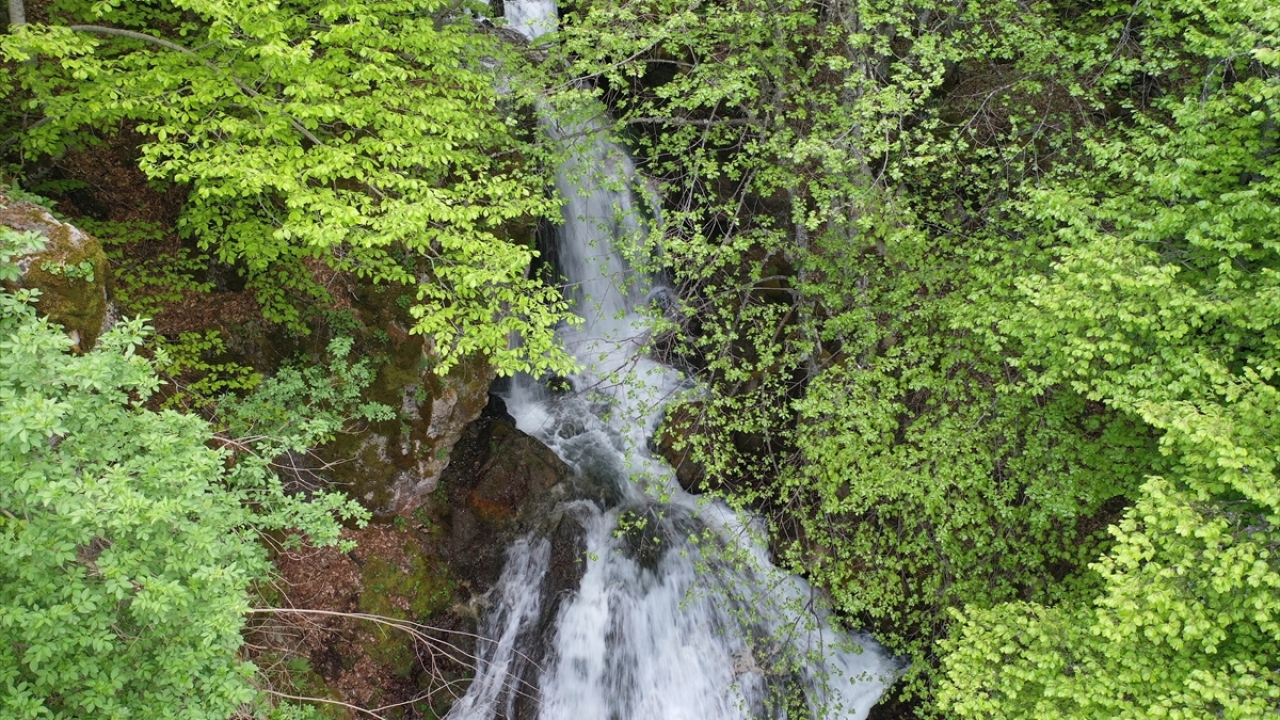 Önder, dağın bilinen özelliklerinin yanında yeni keşfedilen pek çok güzelliğinin görenleri adeta büyülediğini ifade etti.