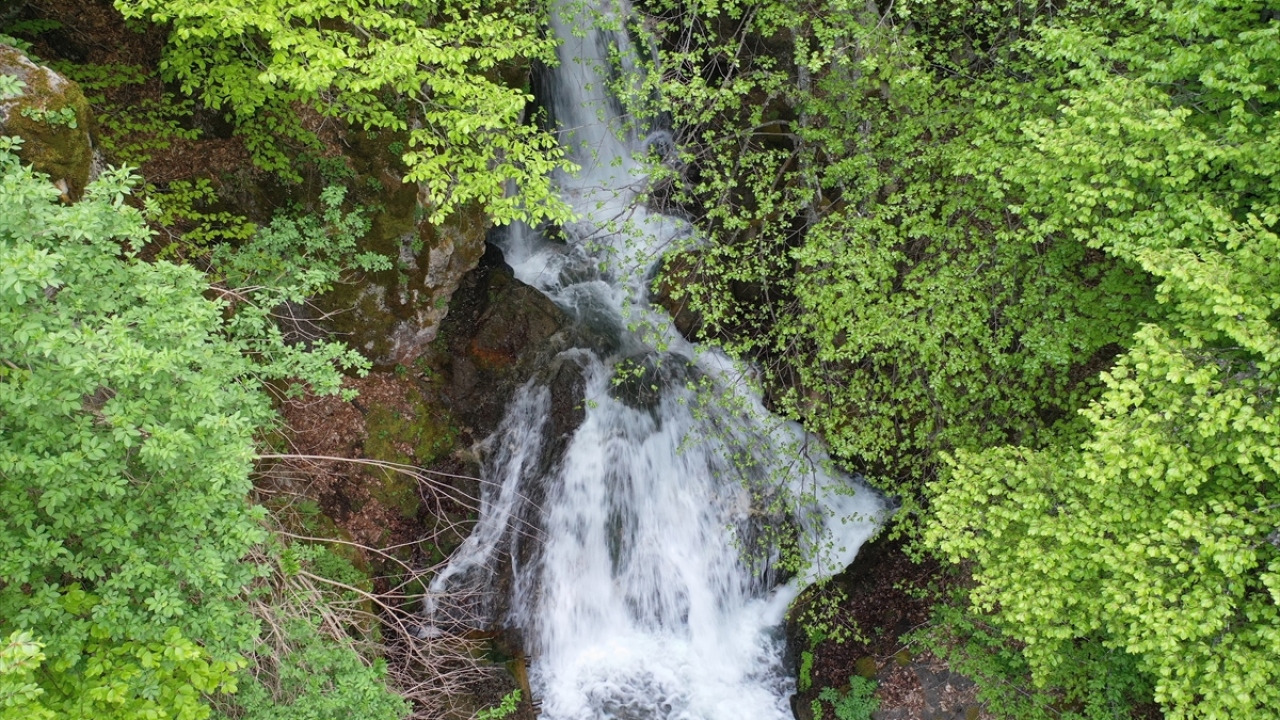 "Ağaçların arasından çıkan çok güzel bir şelale."