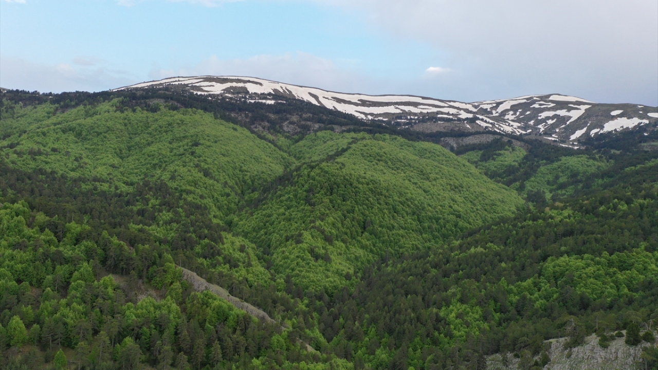 Yükseklerde henüz erimemiş karların beyazlığı, dağın kurşuniliği ve ağaçlarındaki yeşilin binbir tonuyla bölge renk cümbüşünü andırıyor.