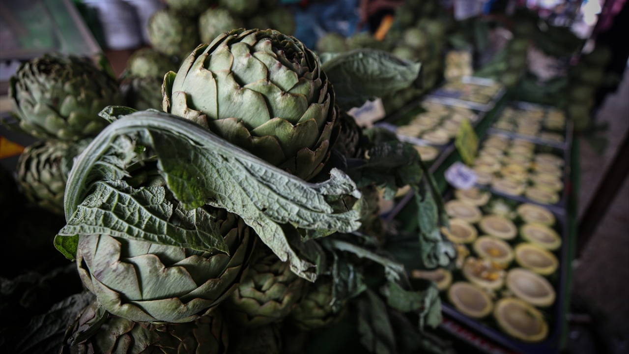 Enginar alan vatandaşlardan Zeliha Varel de enginarı çok sevdiğini belirterek, "Şimdi enginar tüketmenin tam zamanı. Ayrıca kışlık için dolaba da koyuyorum. Çok faydalı bir sebze, ramazan ayında daha çok tüketiyorum." dedi.