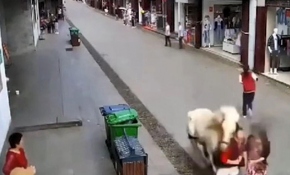 Çin'de kaldırımda yürüyen yayalara at çarptı